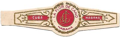 La Flor de Cano Cristales